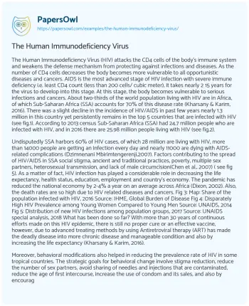 Essay on The Human Immunodeficiency Virus