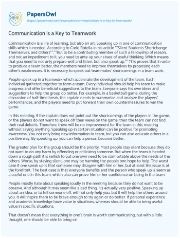 Essay on The Art of Communication in Teamwork