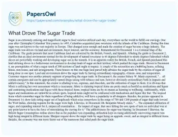 Essay on What Drove the Sugar Trade