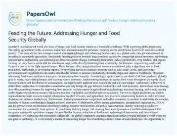 Essay on Feeding the Future: Addressing Hunger and Food Security Globally