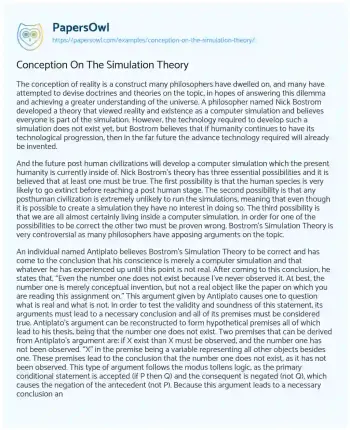 Essay on Conception on the Simulation Theory