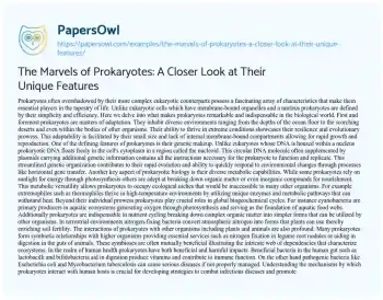 Essay on The Marvels of Prokaryotes: a Closer Look at their Unique Features