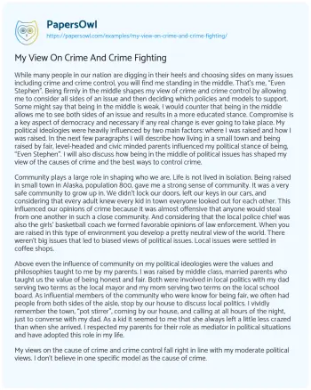 Essay on My View on Crime and Crime Fighting