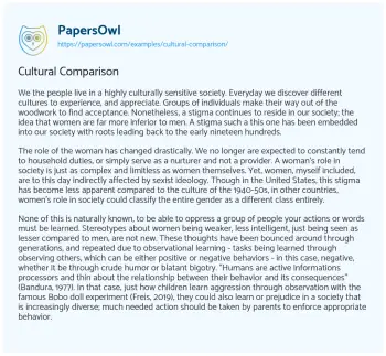 Essay on Cultural Comparison