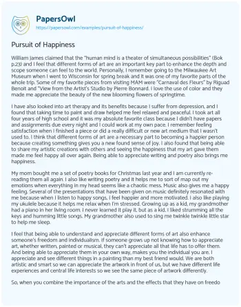 Essay on Pursuit of Happiness