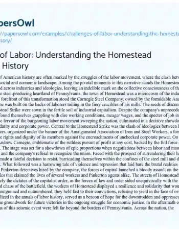 Essay on Challenges of Labor: Understanding the Homestead Strike in US History