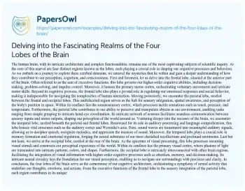 Essay on Delving into the Fascinating Realms of the Four Lobes of the Brain