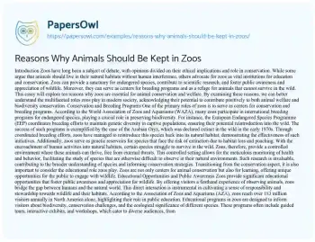 Essay on Reasons why Animals should be Kept in Zoos