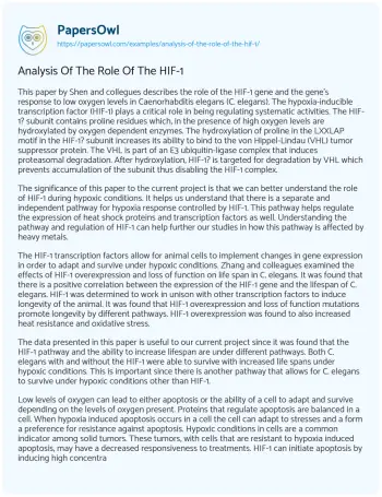 Essay on Analysis of the Role of the HIF-1