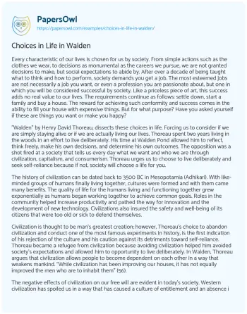 Essay on Choices in Life in Walden