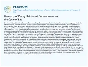 Essay on Harmony of Decay: Rainforest Decomposers and the Cycle of Life