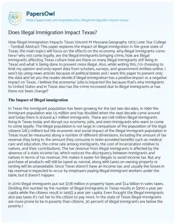 Essay on Does Illegal Immigration Impact Texas?