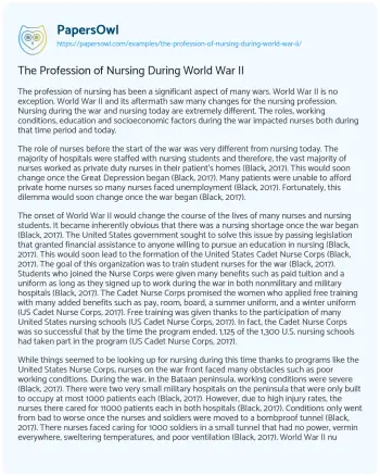 Essay on The Profession of Nursing during World War II