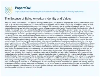 Essay on The Essence of being American: Identity and Values