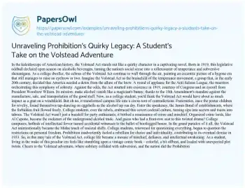 Essay on Unraveling Prohibition’s Quirky Legacy: a Student’s Take on the Volstead Adventure