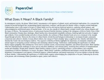 Essay on What does it Mean? a Black Family?