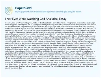 Essay on Their Eyes were Watching God Analytical Essay