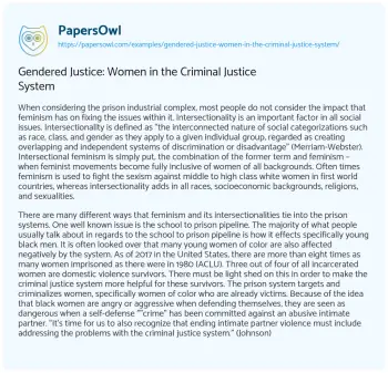 Essay on Gendered Justice: Women in the Criminal Justice System