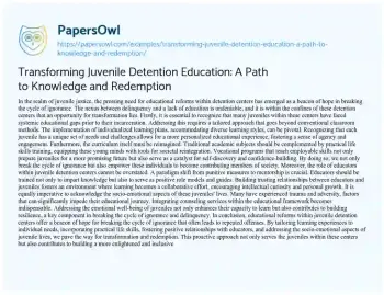 Essay on Transforming Juvenile Detention Education: a Path to Knowledge and Redemption