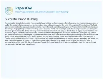 Essay on Succesful Brand Building