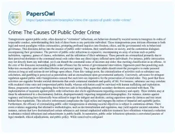 Essay on Crime: the Causes of Public Order Crime