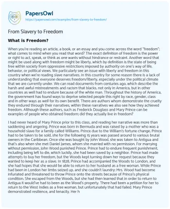 Essay on From Slavery to Freedom