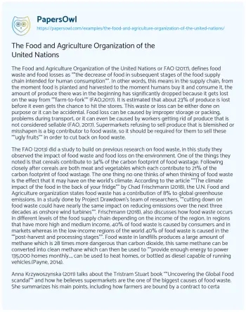 Essay on The Food and Agriculture Organization of the United Nations