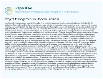 Essay on Project Management in Modern Business