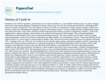 Essay on History of Covid-19