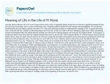 Essay on Meaning of Life in the Life of Pi Movie