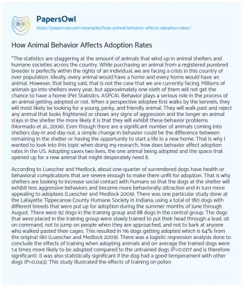 Essay on How Animal Behavior Affects Adoption Rates