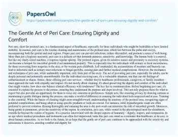 Essay on The Gentle Art of Peri Care: Ensuring Dignity and Comfort