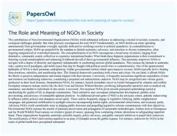 Essay on The Role and Meaning of NGOs in Society