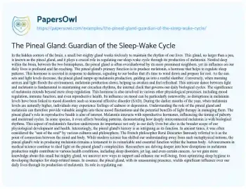 Essay on The Pineal Gland: Guardian of the Sleep-Wake Cycle