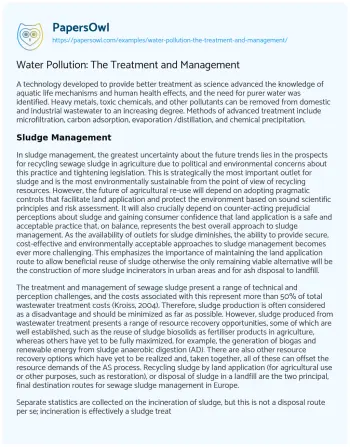 Essay on Water Pollution: the Treatment and Management