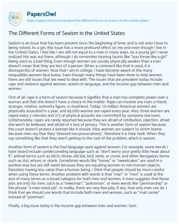 Essay on The Different Forms of Sexism in the United States