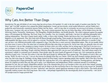 Essay on Why Cats are Better than Dogs