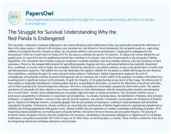 Essay on The Struggle for Survival: Understanding why the Red Panda is Endangered