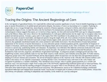 Essay on Tracing the Origins: the Ancient Beginnings of Corn