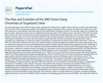 Essay on The Rise and Evolution of the 38th Street Gang: Chronicles of Organized Crime