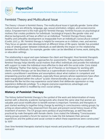 Essay on Feminist Theory and Multicultural Issue