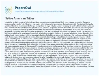 Essay on Native American Tribes