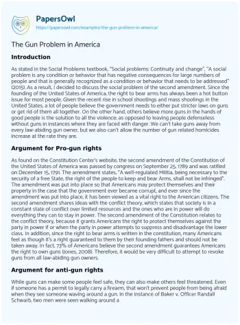 Essay on The Gun Problem in America
