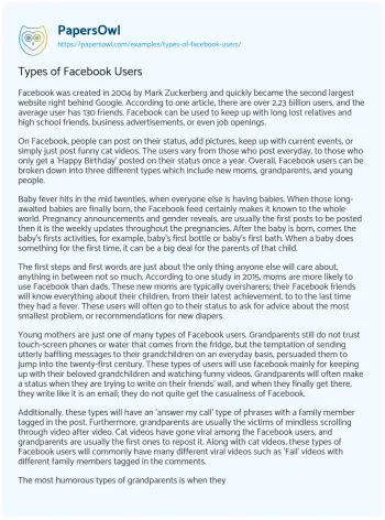 Essay on Types of Facebook Users