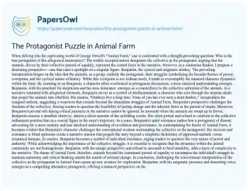 Essay on The Protagonist Puzzle in Animal Farm