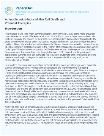 Essay on Aminoglycoside-Induced Hair Cell Death and Potential Therapies