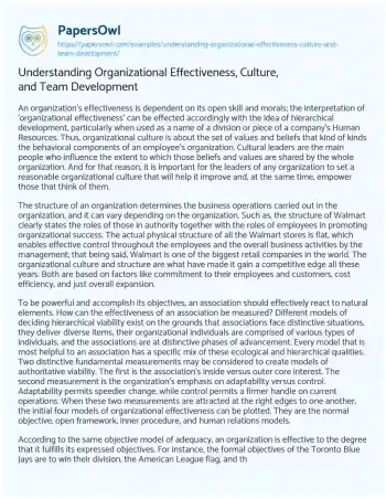 Essay on Understanding Organizational Effectiveness, Culture, and Team Development