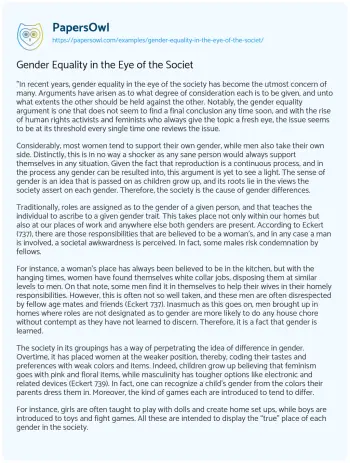 Essay on Gender Equality in the Eye of the Societ