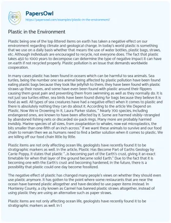 Essay on Plastic in the Environment