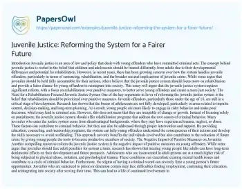 Essay on Juvenile Justice: Reforming the System for a Fairer Future